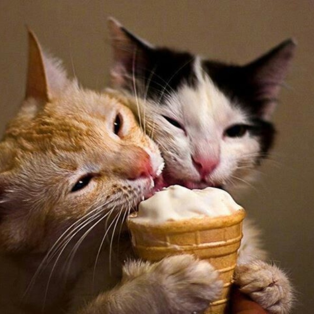 I always share back, thanks 4 helping a new posher